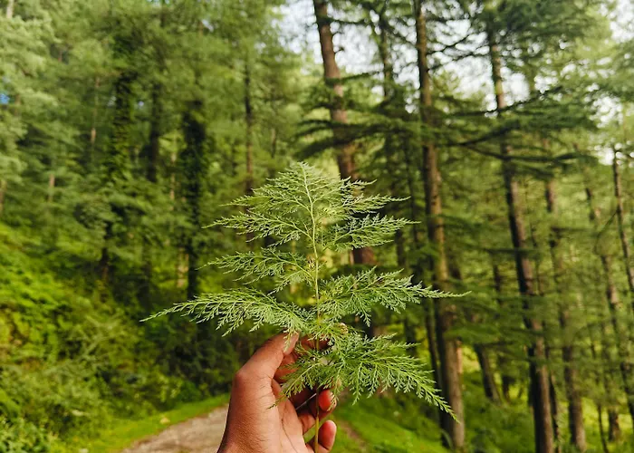 Haus Karin Holiday home *